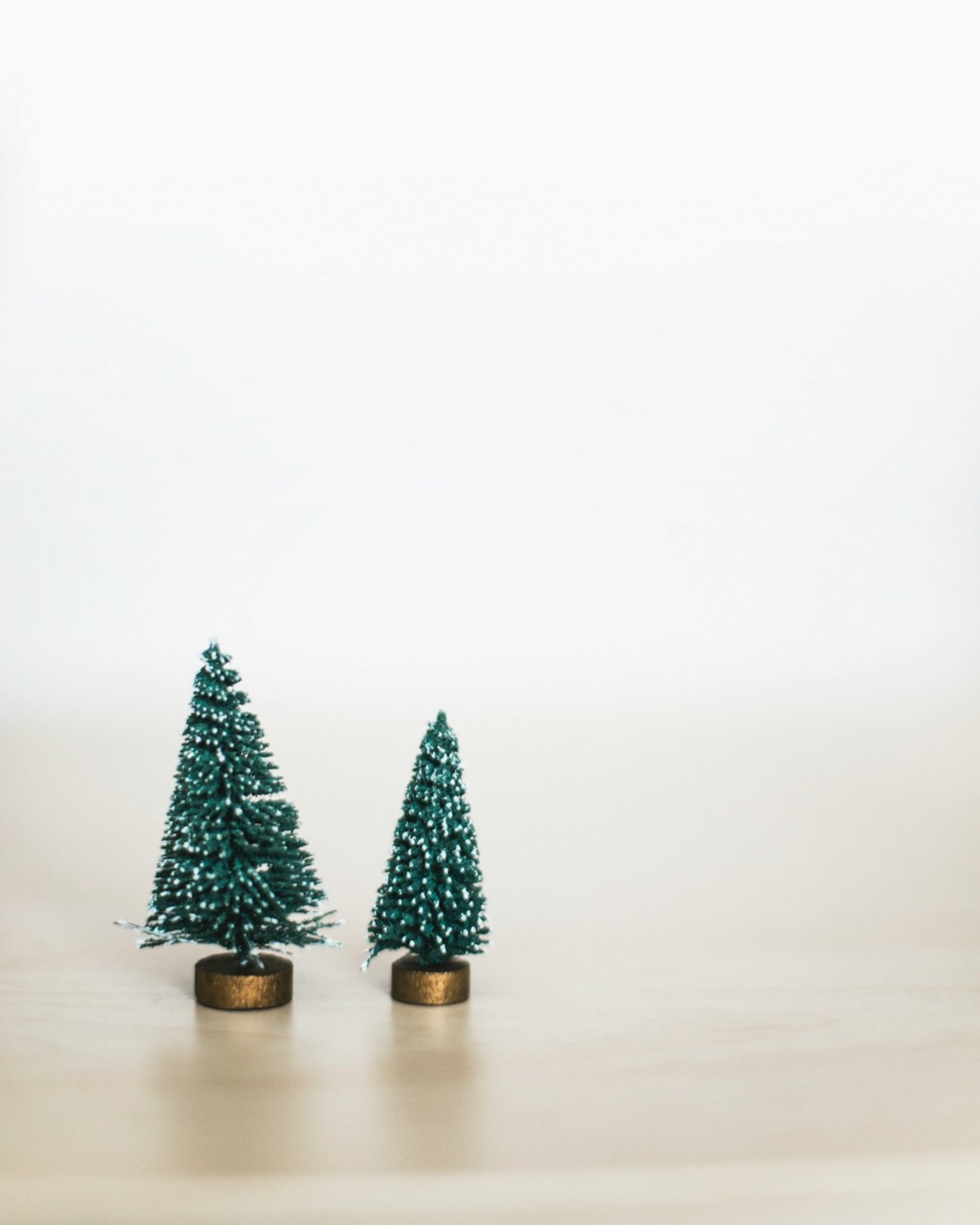 Miniature holiday trees on a natural stone table and neutral background