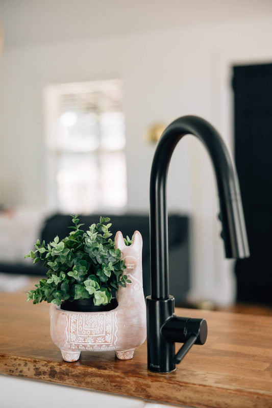 Black faucet on a wooden surface with a small plant in a decorative Llama pot.