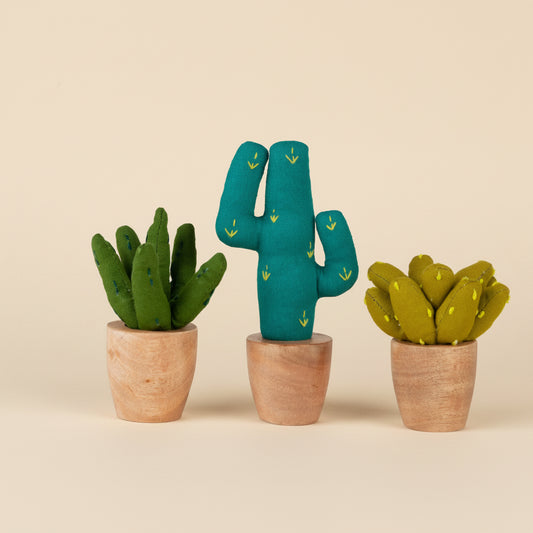 Trio of fair trade fabric cactus next to an aloe plant, and prickly pear cotton plant.