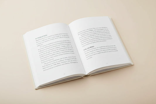 Book page with text on mindfulness and a journal introduction