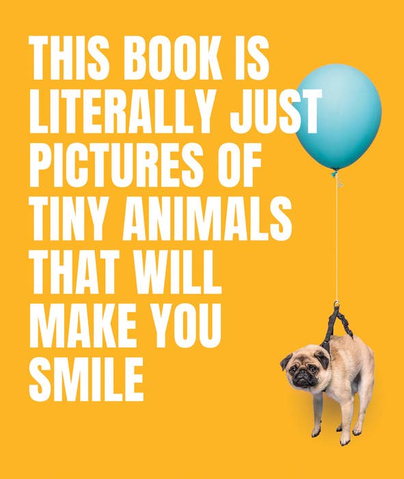 Promotional graphic for a book with a pug dog holding a blue balloon on a yellow background. Collection of miniature kittens, bunnies, and other tiny animals featured inside.
