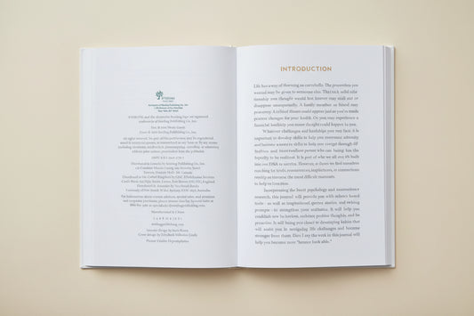 Introduction page of 'Five Minutes to Resilience Journal' with text and a logo on a white background