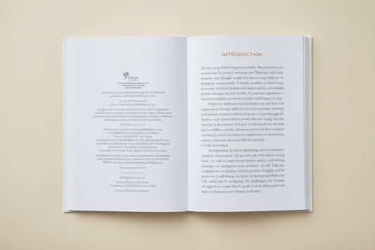 Introduction page of 'Five Minutes to Resilience Journal' with text and a logo on a white background