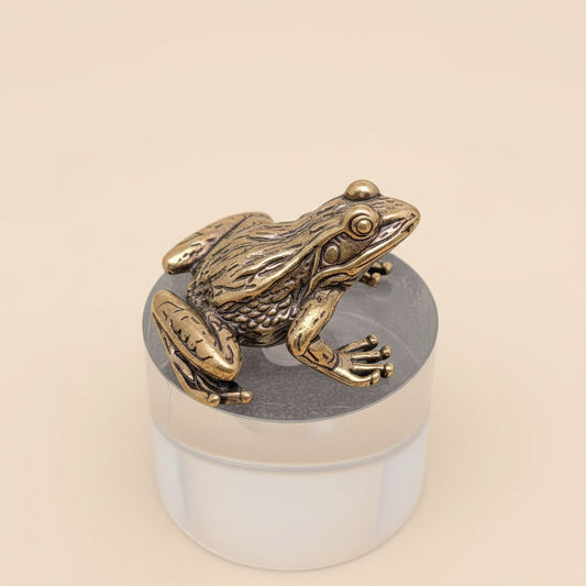 Bronze frog sculpture on a clear cylindrical base against a gray background