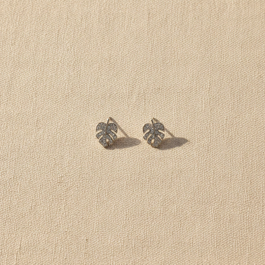 Monstera leaf earrings on a textured beige background from Rochambeau Home