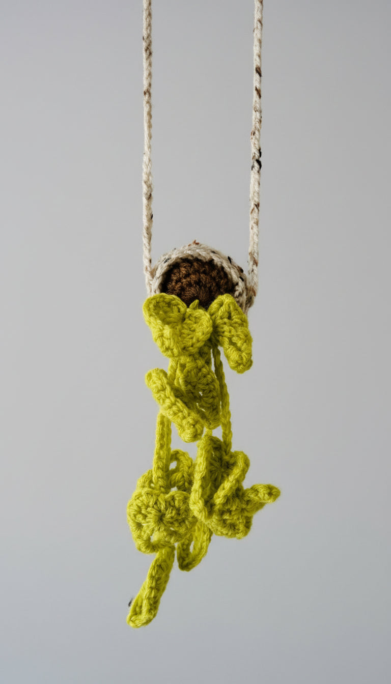Image of Sprite baby crochet air plant