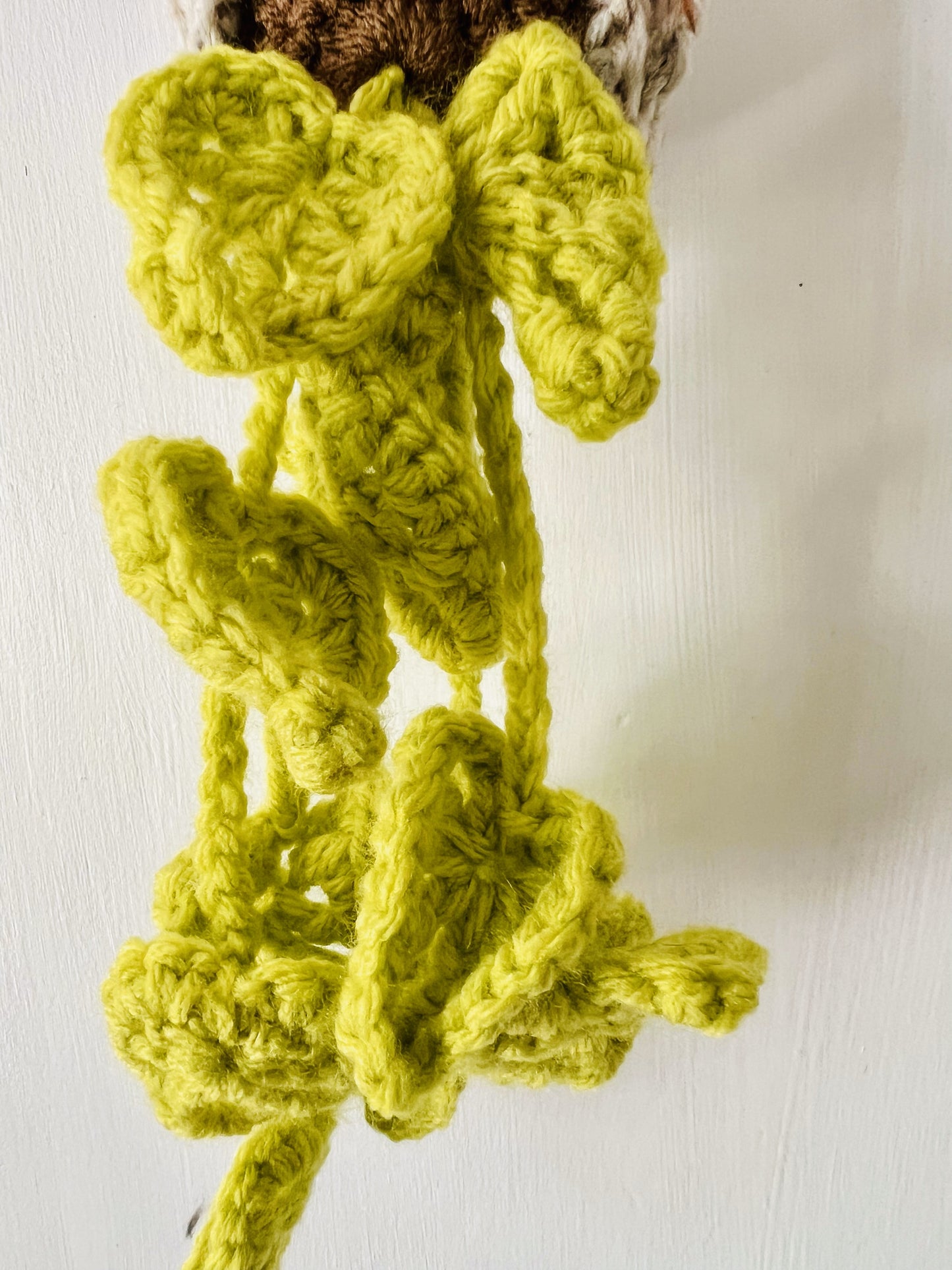Close up view of the Adorable Sprite Baby crochet air plant bright green foliage
