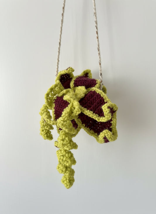 Side angle showing texture of crocheted air plant