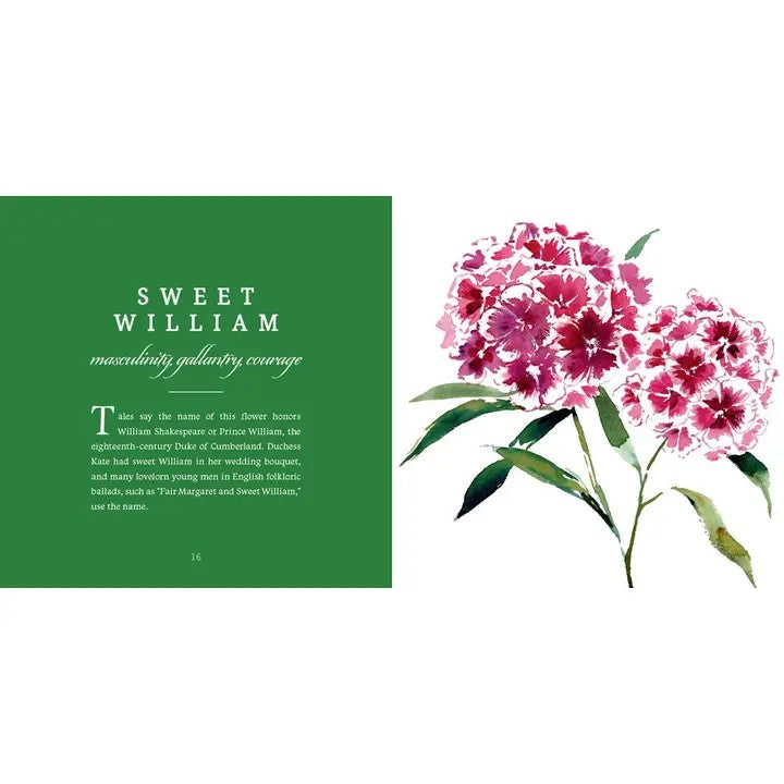 Open pages of the book showing detailed floral art and symbolic meanings