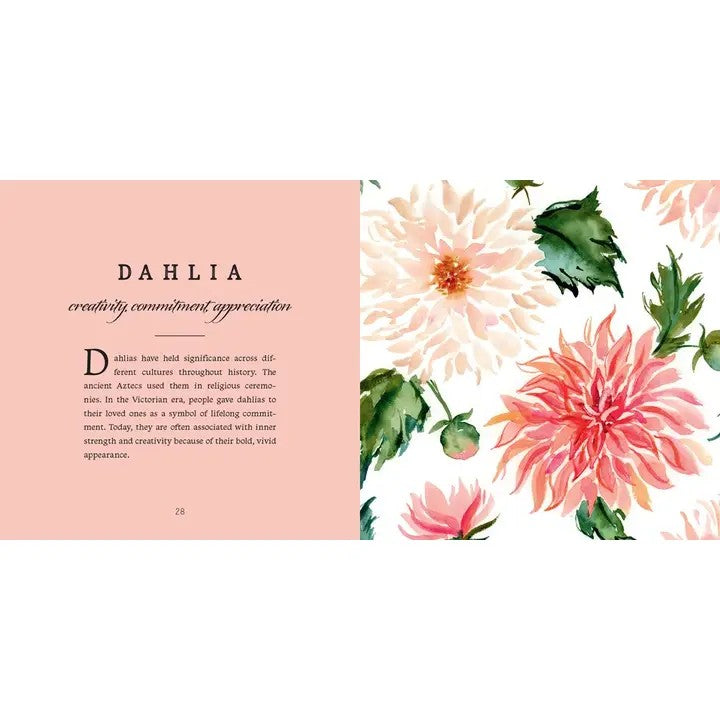 Close up view of the Dahlia Flower illustrated