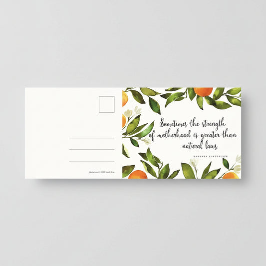 Close up view of a postcard included in the collection