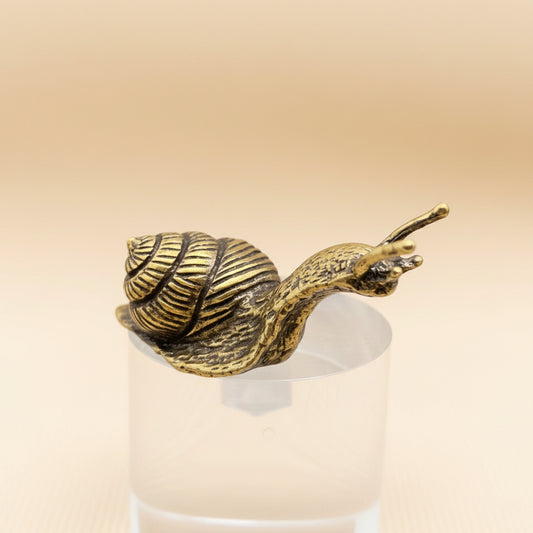 Bronze snail figurine on a clear stand against a neutral background