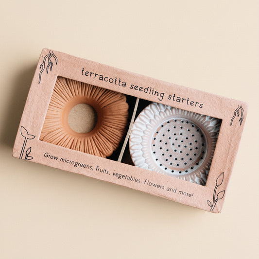 Sprouter set displayed in box with instructions and fresh greenery