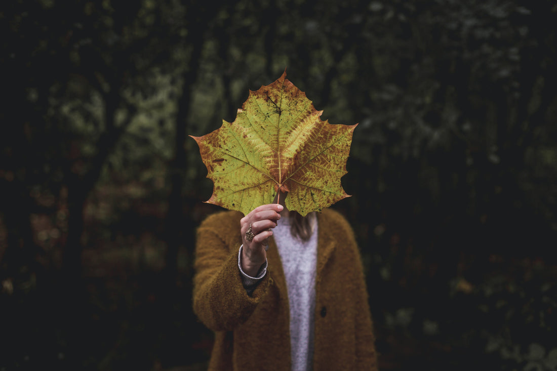 Image of a person holding a large leaf to cover their face with an autumn backdrop