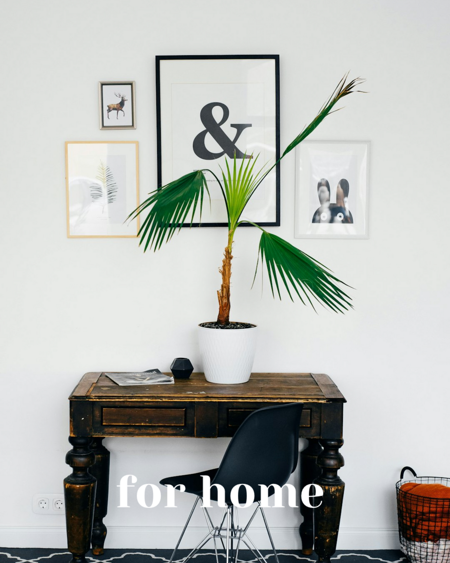 image shows a picture of a plant displayed around portraits and pictures and states "for home"