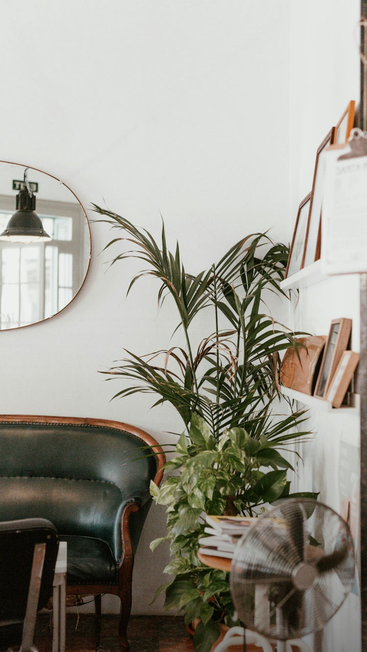 'Moving Out West Clearance Event' with a western themed background