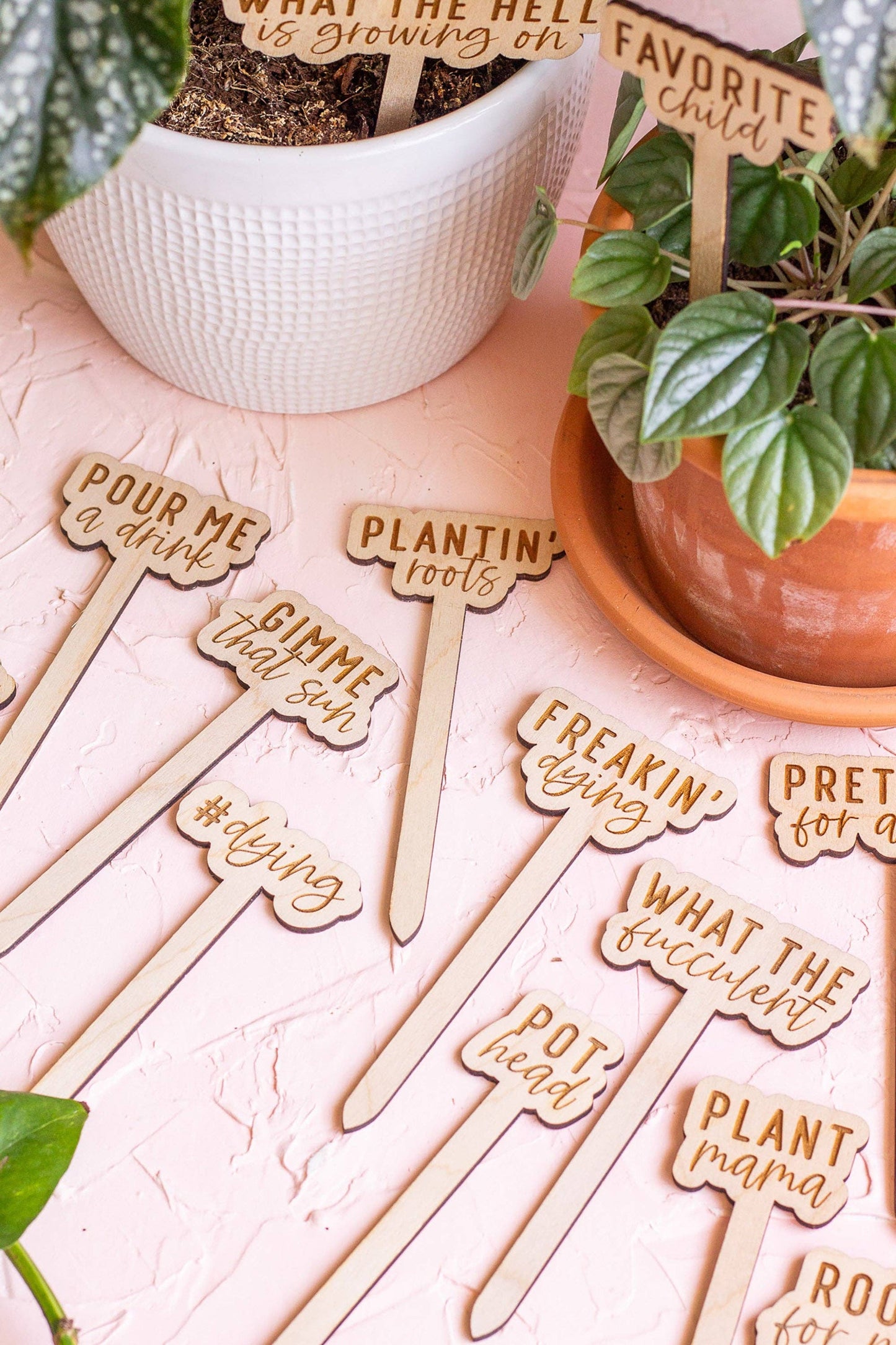 Wooden plant markers with Sassy Sayings for indoor plants and gardens