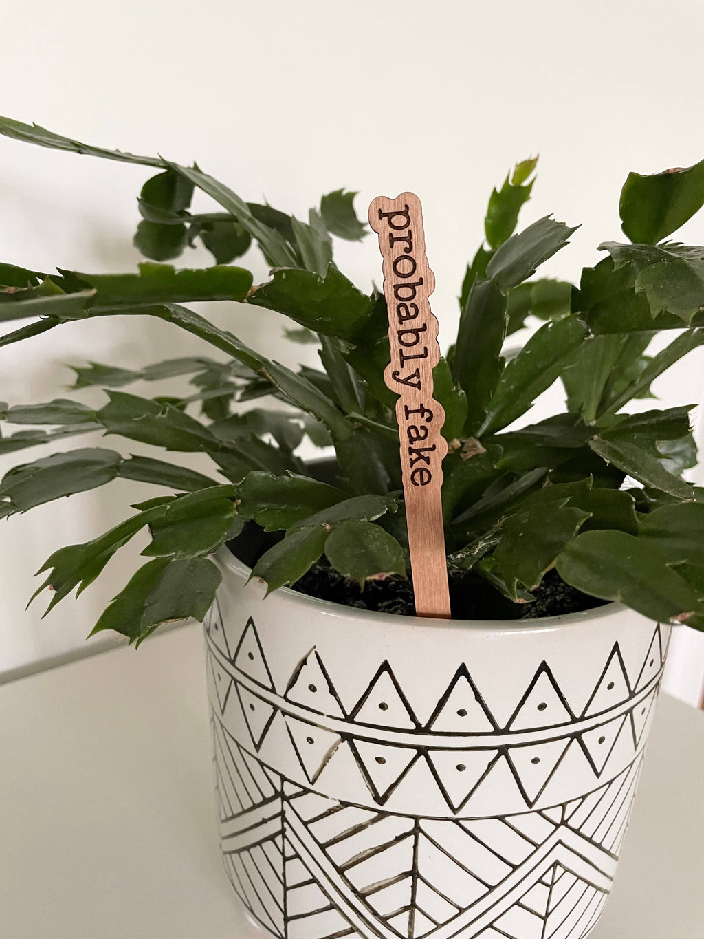 Engraved "Probably Fake" plant marker made from cherry hardwood, placed in a decorative faux plant.