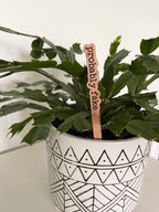 Engraved "Probably Fake" plant marker made from cherry hardwood, placed in a decorative faux plant.