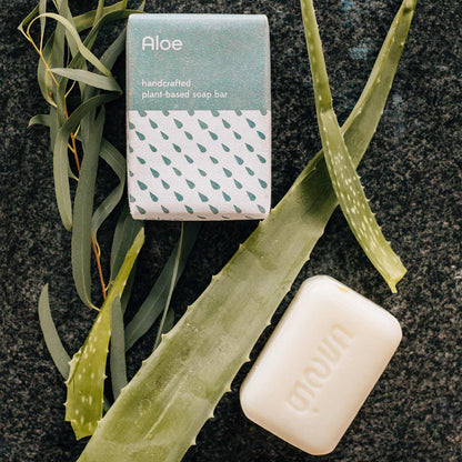 Bar of soap with aloe vera leaves and a box labeled 'Aloe' on a dark surface