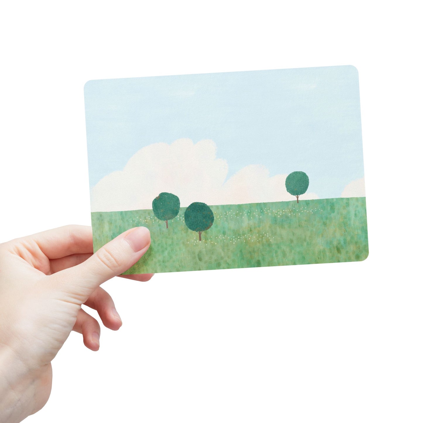 Nature-Inspired Postcards Set – 15, 30, or 45 Cards for Every Occasion in Smooth or Matte Finish