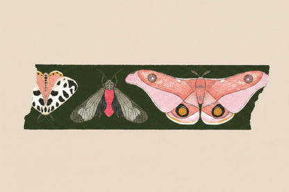 Close up of the Moth washi tape showing the details of the moth 