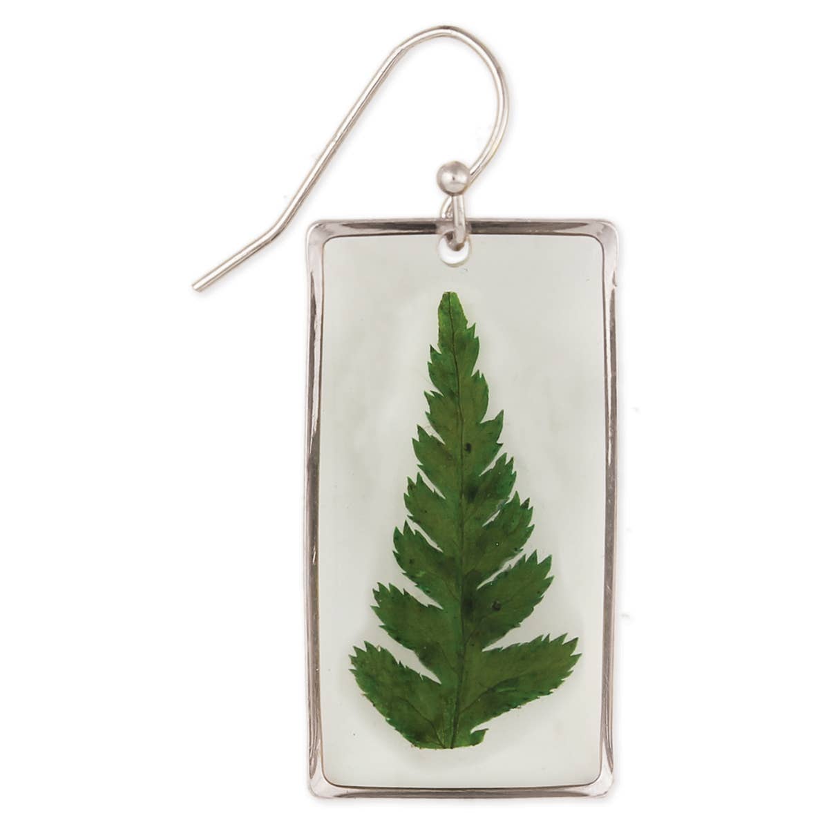 Earring with a pressed green leaf in a silver frame on a white background