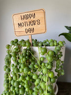 Cherry hardwood plant marker engraved with a heartfelt message, placed in a flower pot.