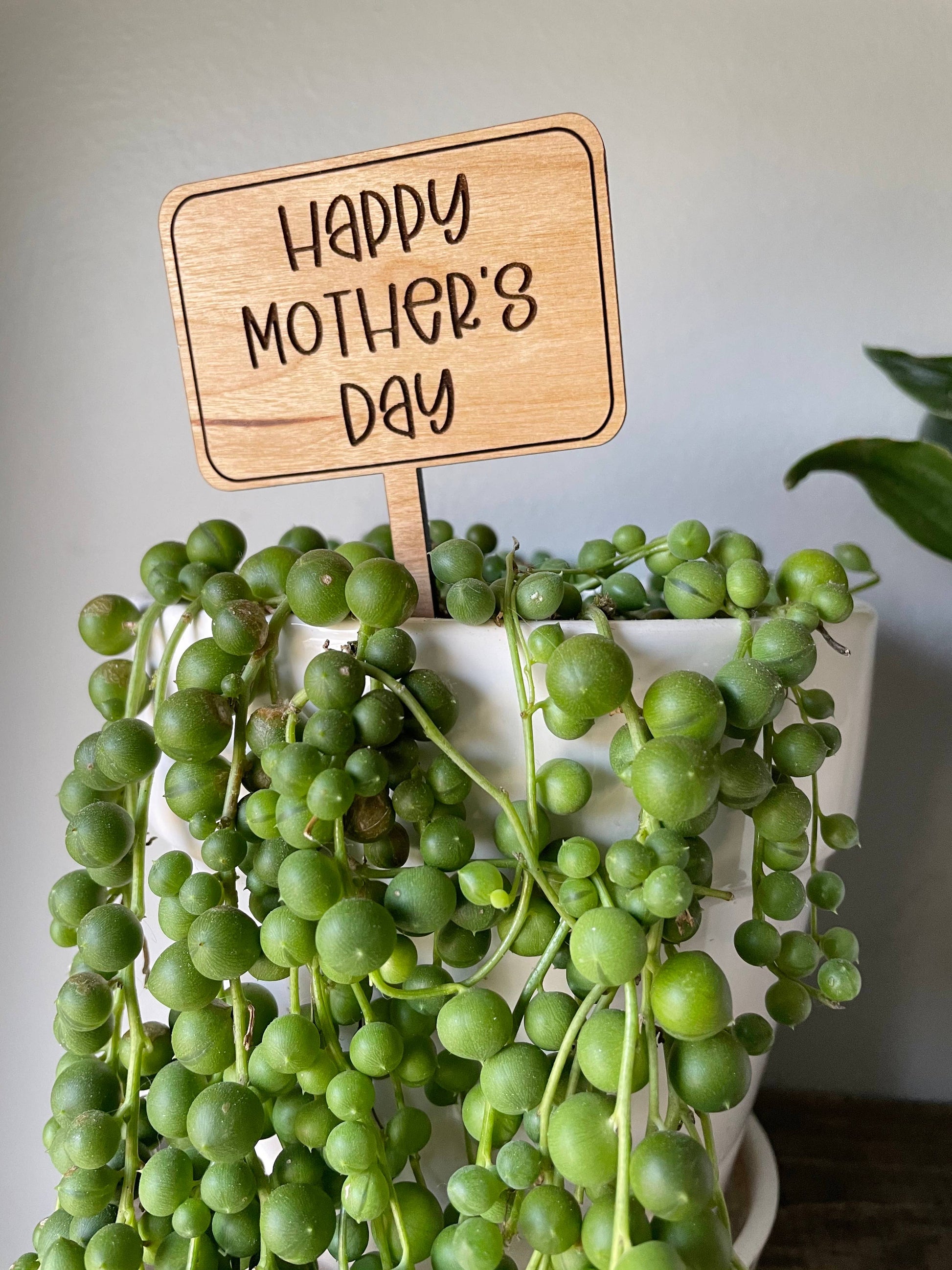 Cherry hardwood plant marker engraved with a heartfelt message, placed in a flower pot.