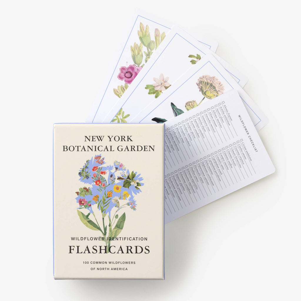NY Botanical Garden Wildflower ID Flashcards – Illustrated Outdoor Exploration Guide