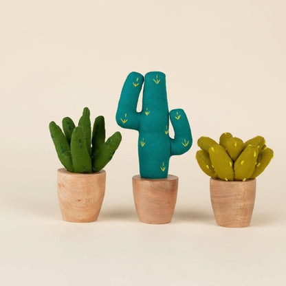 Mini cactus styled on bookshelf next to small notebooks and trinkets