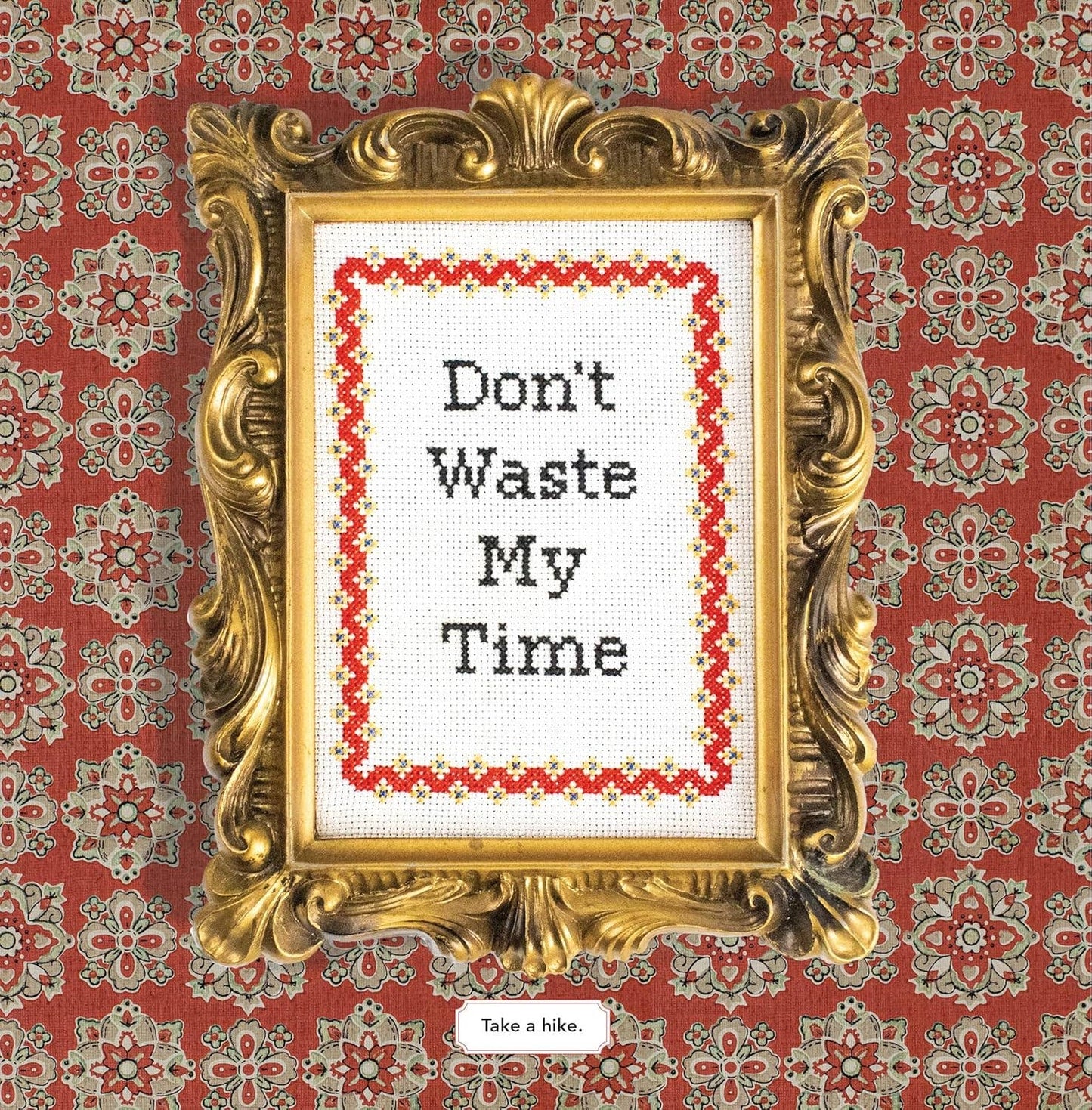 Decorative gold frame with cross-stitched text 'Don't Waste My Time' on a red patterned background.