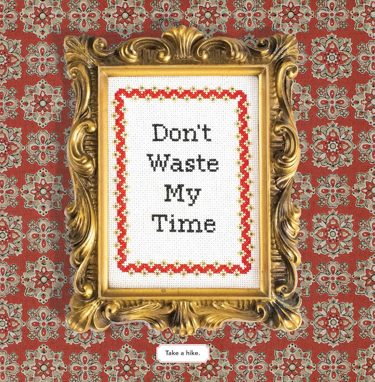 Decorative gold frame with cross-stitched text 'Don't Waste My Time' on a red patterned background.