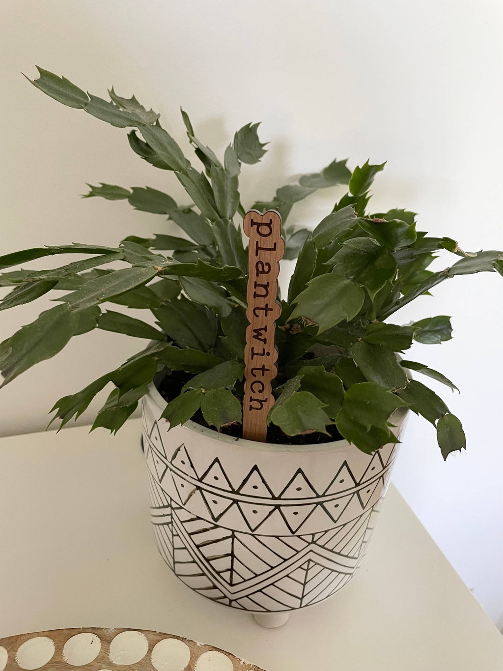 Cherry hardwood plant marker engraved with Plant Witch, perfect for green witches growing herbs, flowers, and magical gardens.