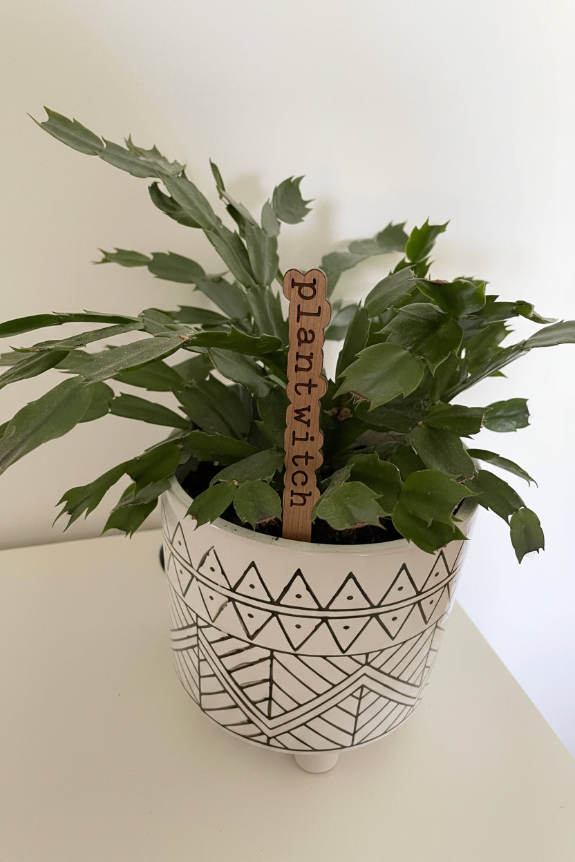 A black and white patterned pot with a green plant, featuring a wooden plant marker with the text 'Plant Witch' engraved on it.
