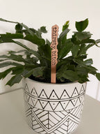 "Thirsty Bitch" plant stake, showing the witty design in a flower pot.