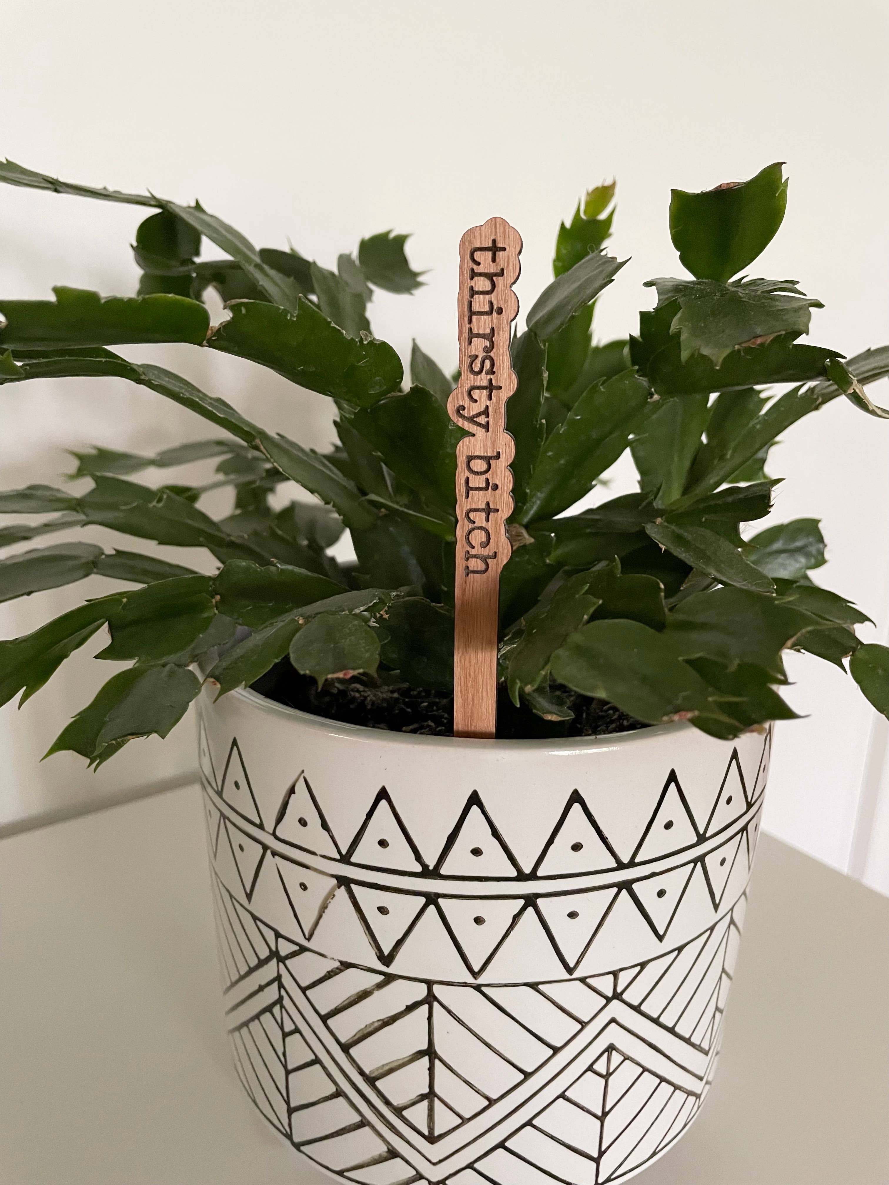 "Thirsty Bitch" plant stake, showing the witty design in a flower pot.