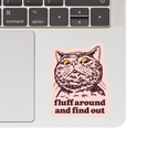 "Fluff Around and Find Out" Sassy Cat Sticker - Bold and Funny Design decal on laptop. 