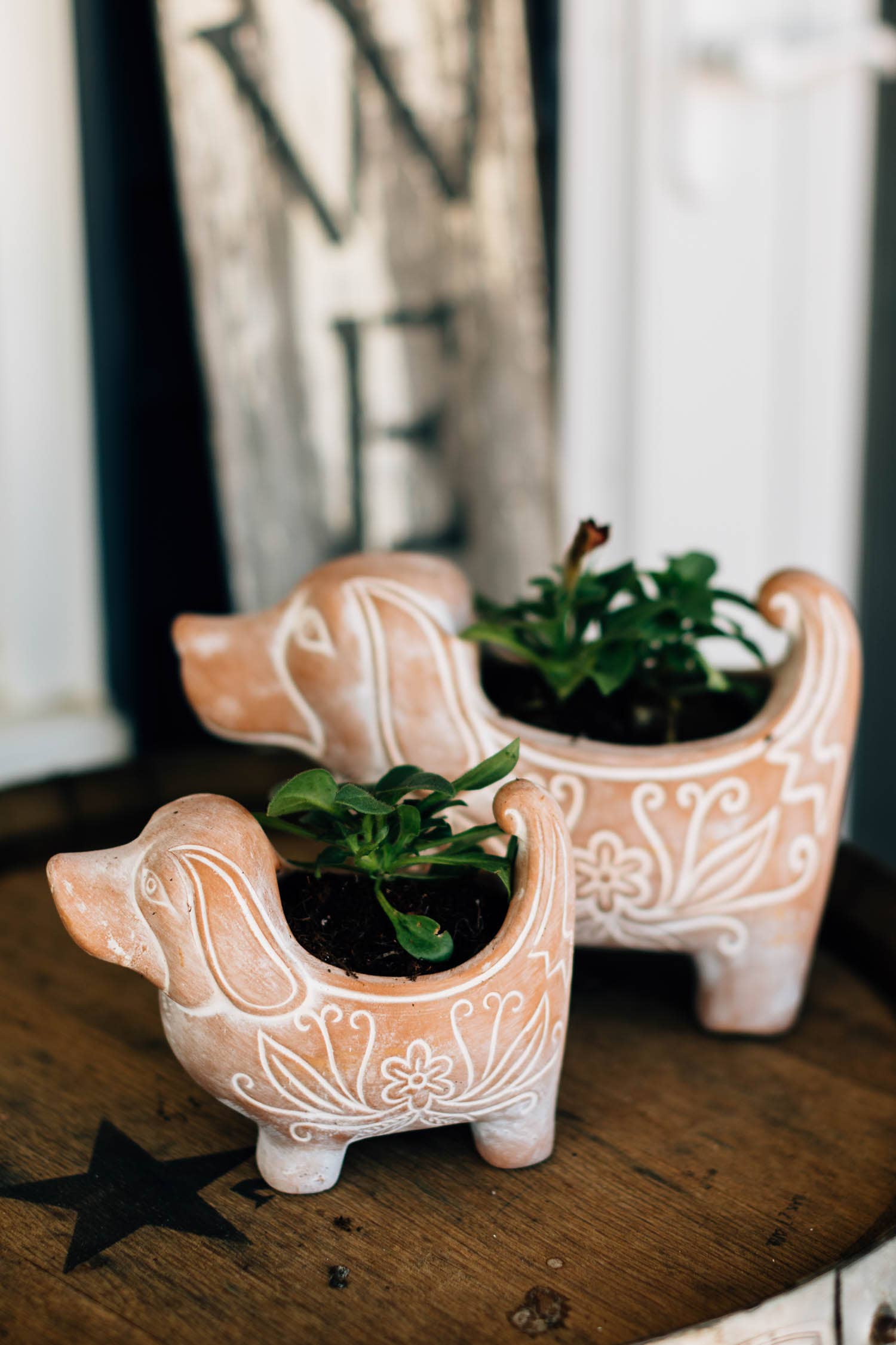 Terracotta Dog Planter – Handcrafted Whitewashed Ceramic Décor