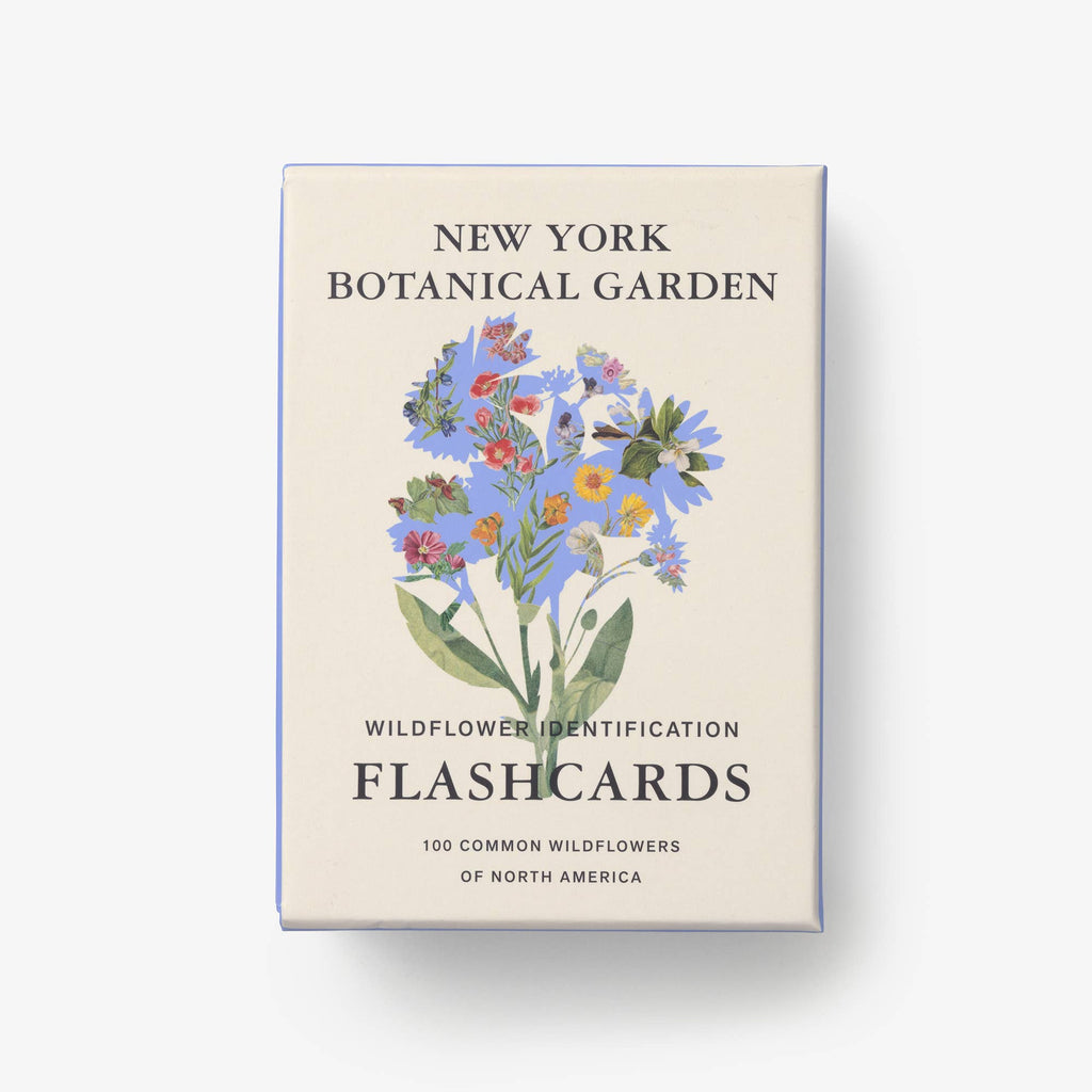 Box of New York Botanical Garden wildflower identification flashcards on a white background