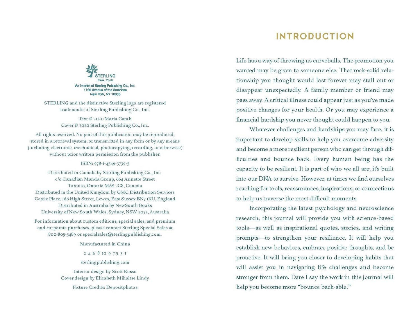 Resiliency Journal – 5 Minutes a Day