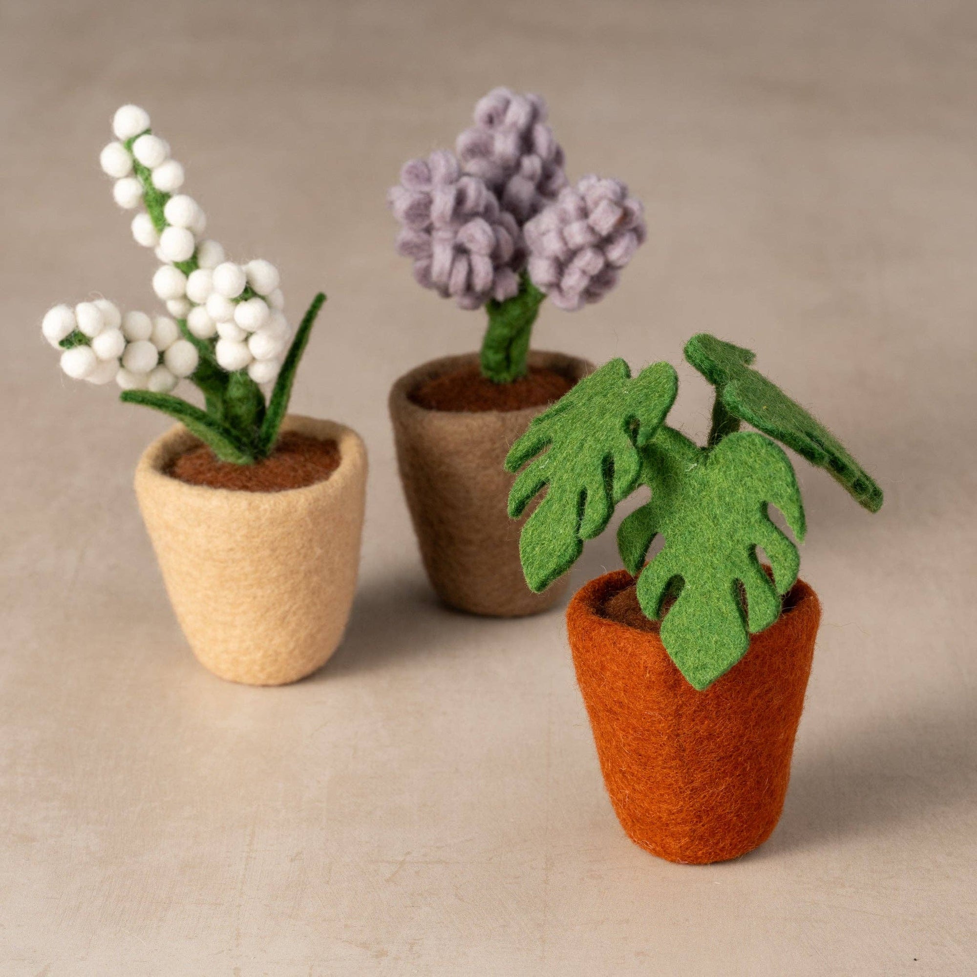 Decorative felt Monstera displayed alongside other felt flower pots (sold separately)