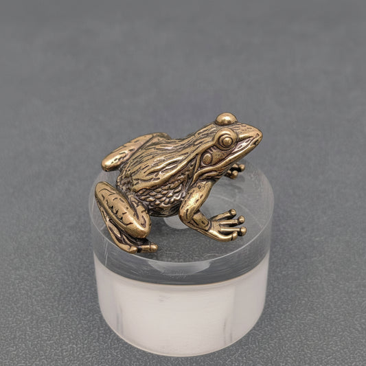 Bronze frog sculpture on a clear cylindrical base against a gray background