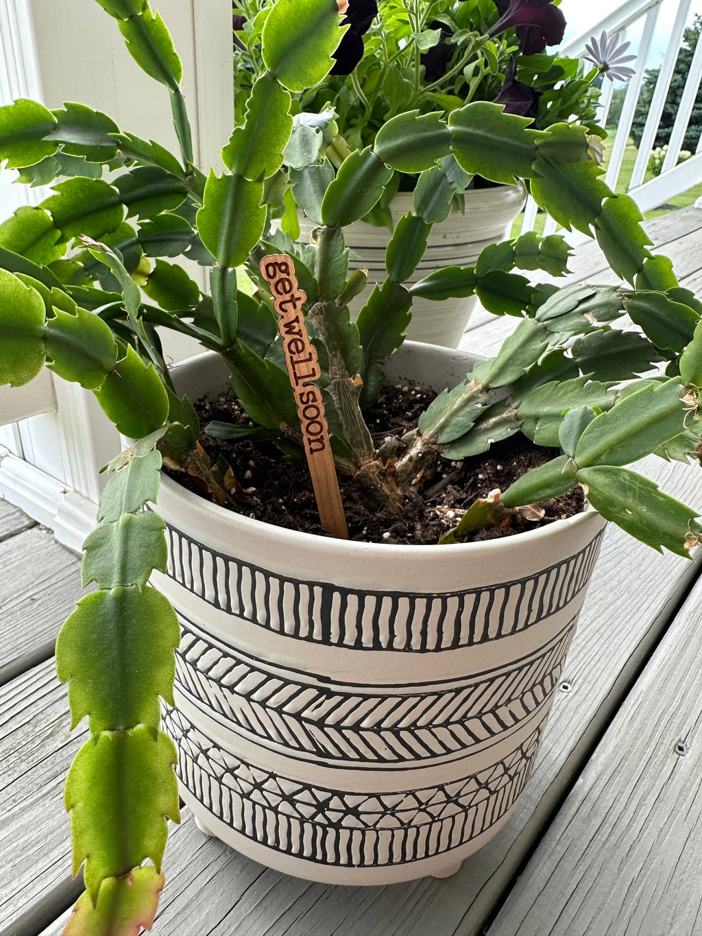 Close up of Get Well Soon Cherry wood plant marker.