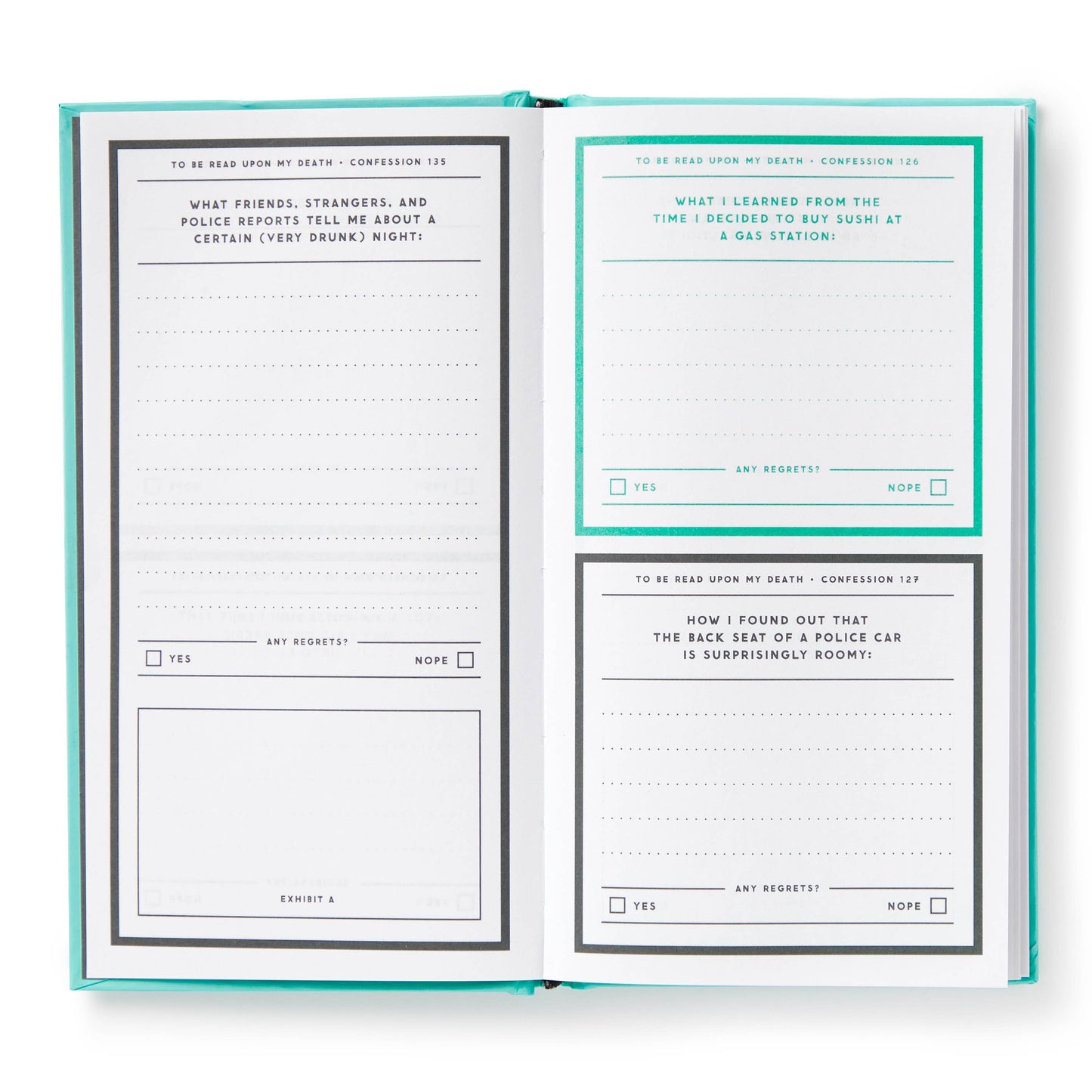 Open journal showing details and summary of included prompts