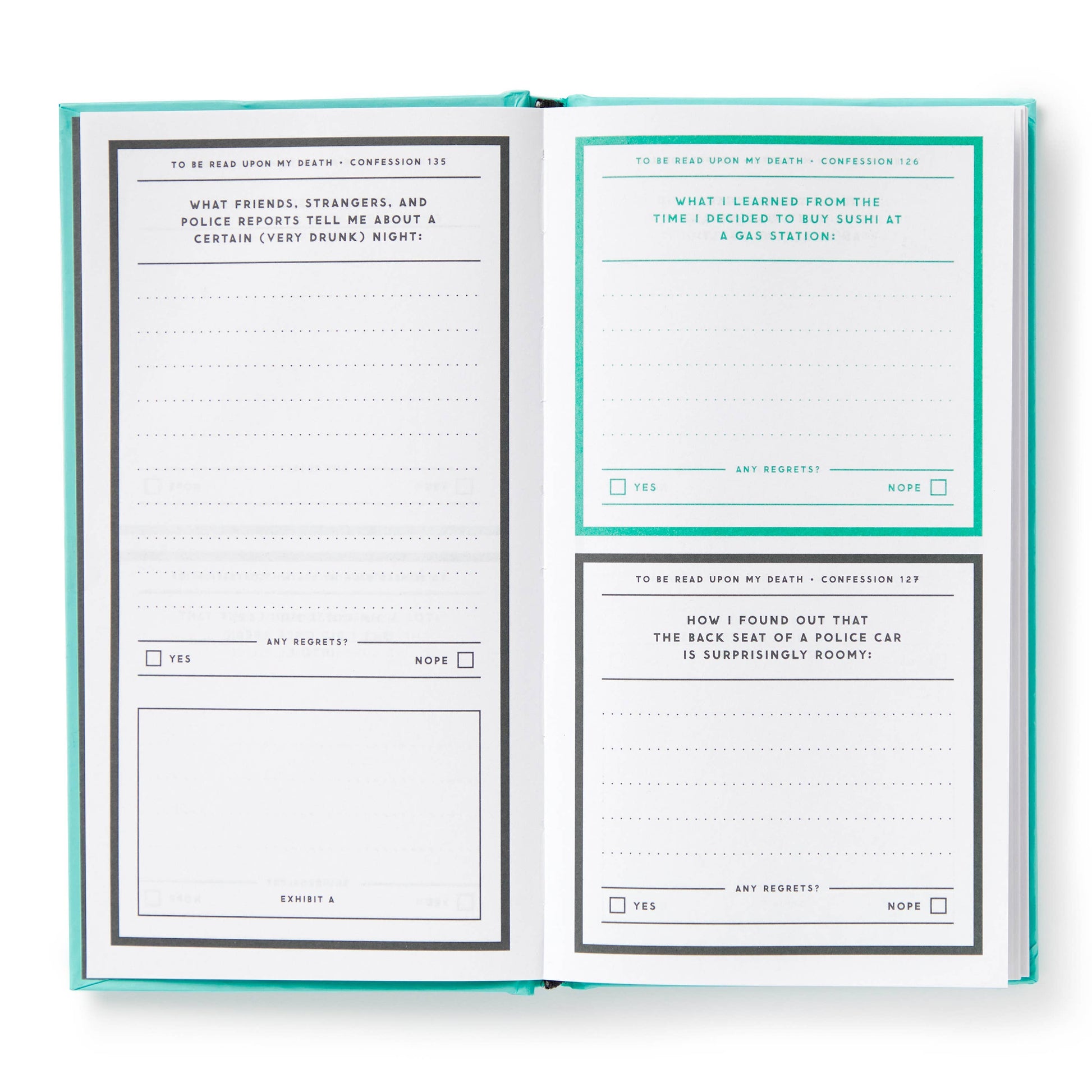 Open journal showing details and summary of included prompts