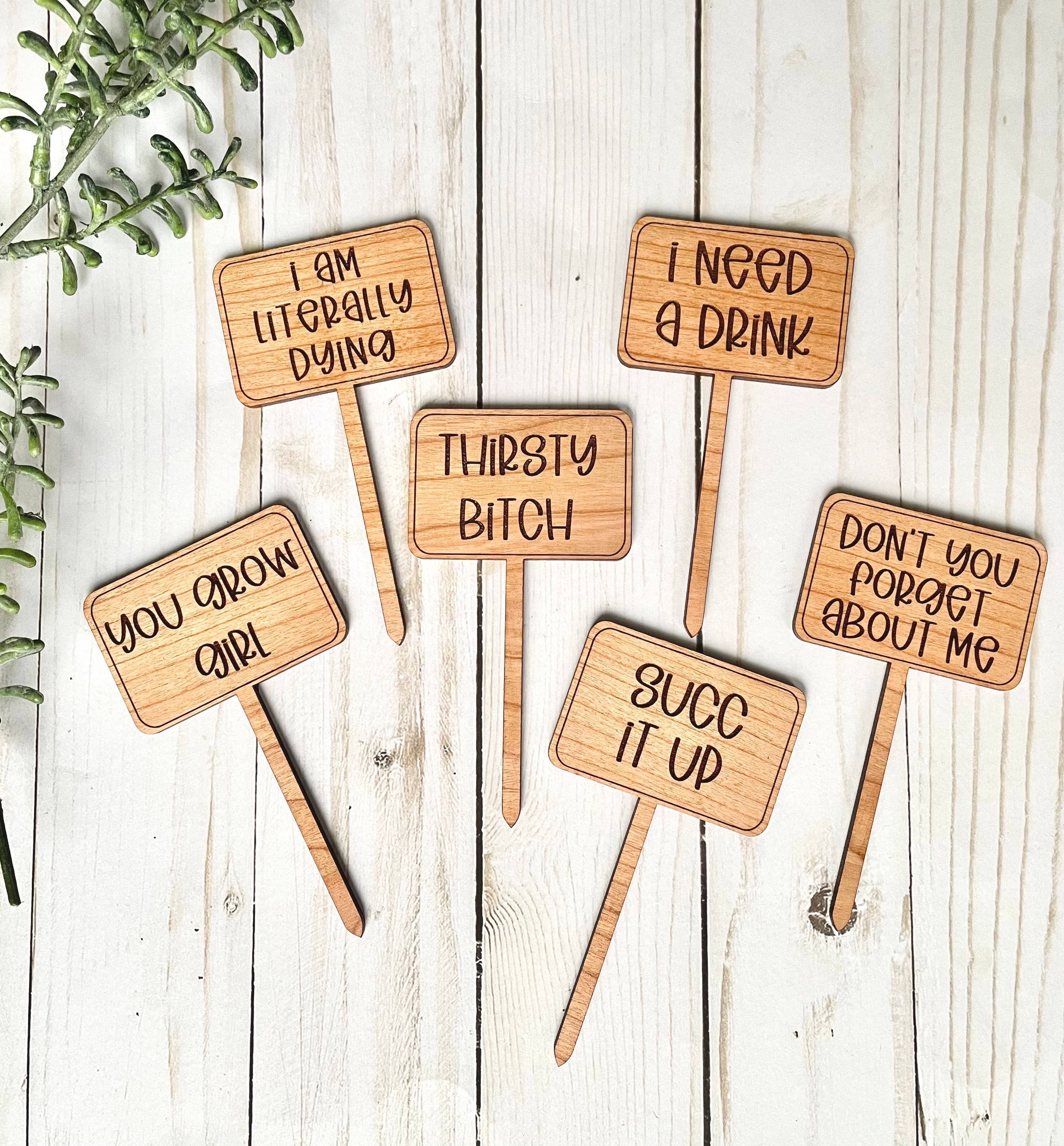 Don't You Forget About Me Plant Marker Laser-Cut from Cherry Hardwood