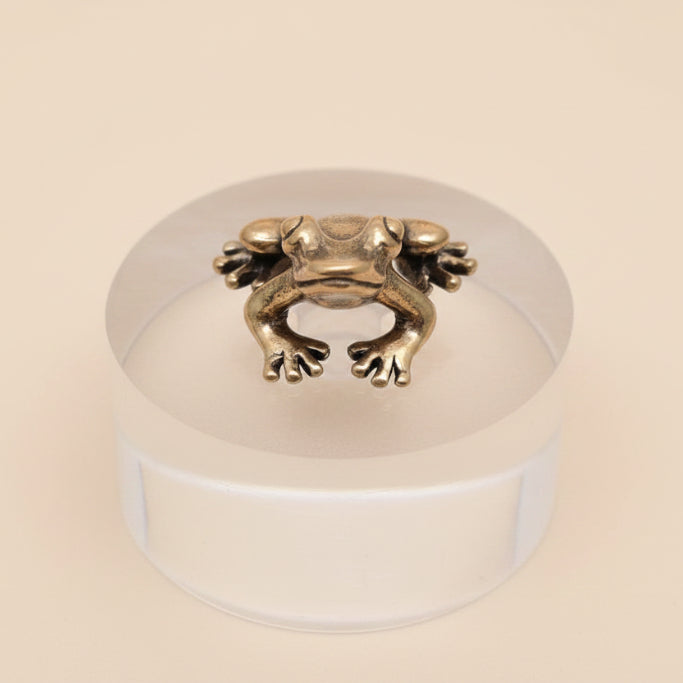 Brass vintage inspired frog figurine on a clear acrylic block against a gray background