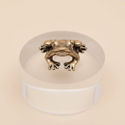 Brass vintage inspired frog figurine on a clear acrylic block against a gray background