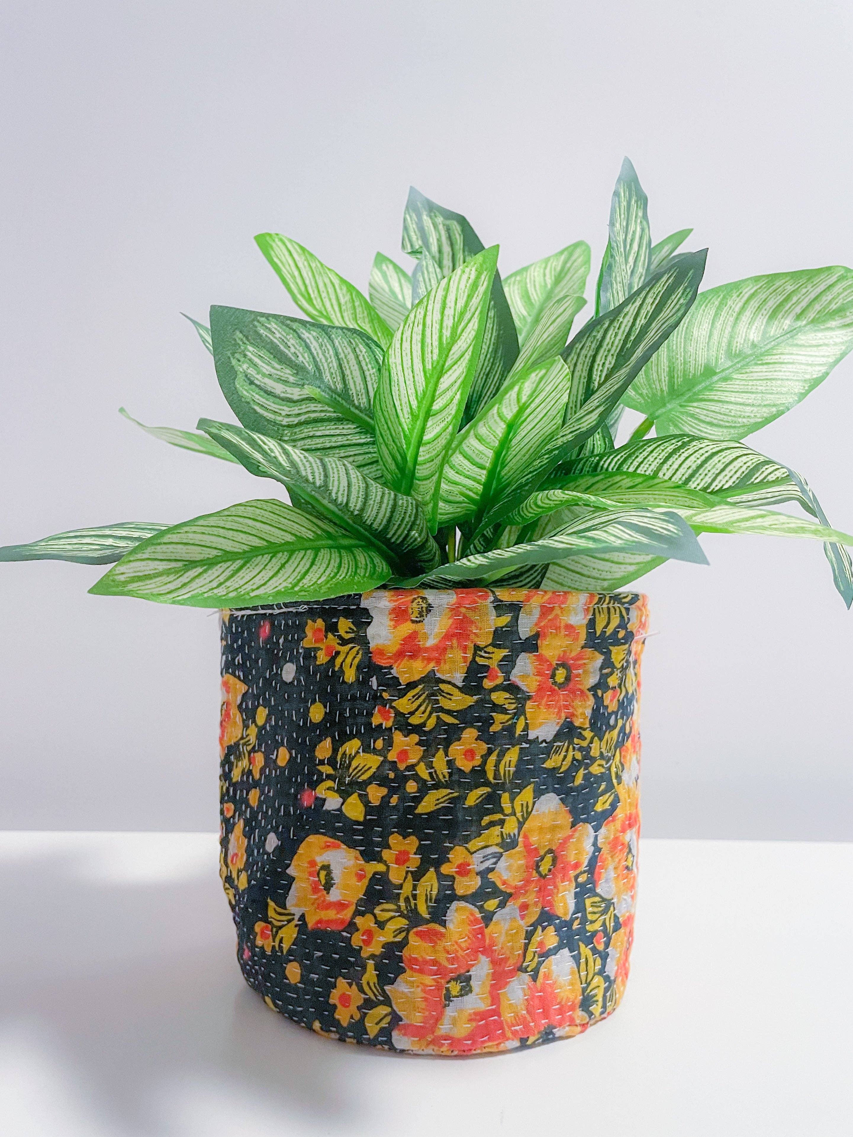Potted plant in a colorful floral pot on a white background